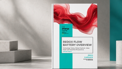 REDOX FLOW BATTERY OVERVIEW. Technology Status, Market Outlook, Value Chain and Industrial Perspectives
