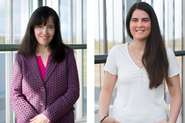 The UPV/EHU grants two Extraordinary Doctoral Awards to professionals from CIC energiGUNE
