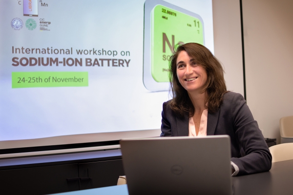 CIC energiGUNE gathers the main International experts to advance in the development of sodium-ion batteries