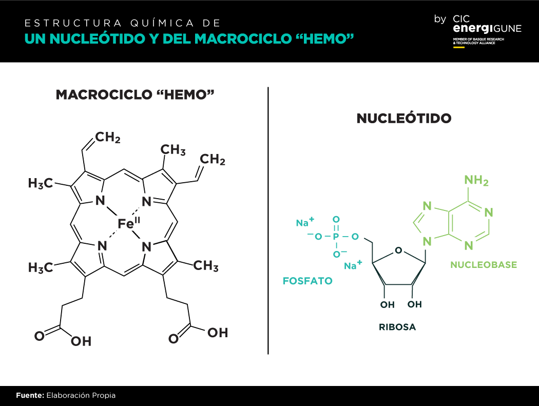 Gráfico desarrollado por CIC energiGUNE, en el que se muestran las estructuras químicas de un nucleótido y de un macrociclo 